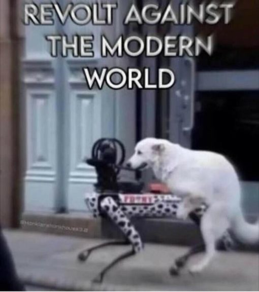 Dog Memes, Funniest Memes, Robot Memes  REVOLT AGAINST THE MODERN WORLD  