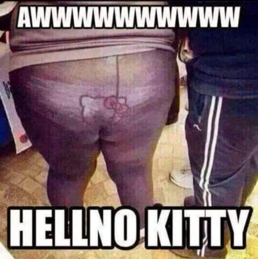 Funniest Memes, Hello Kitty Memes 