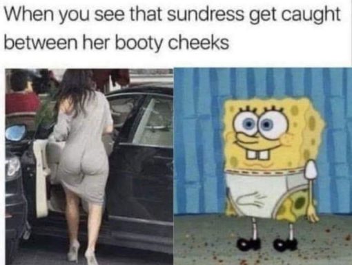 Ass Memes, Butt Memes, Funniest Memes, SpongeBob Memes 