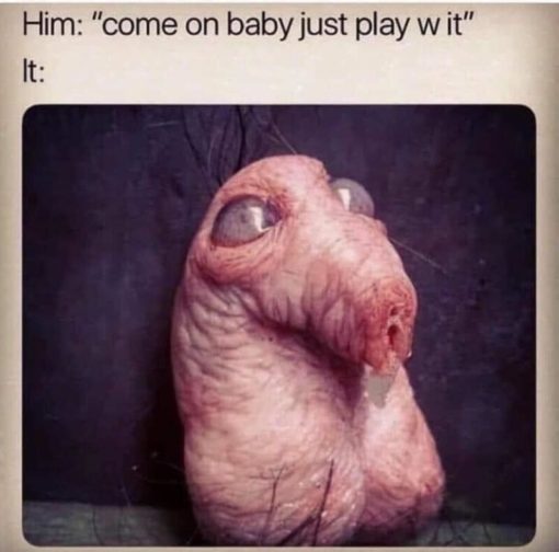 Funniest Memes, Gross Memes, Penis Memes  come on baby just play w it  