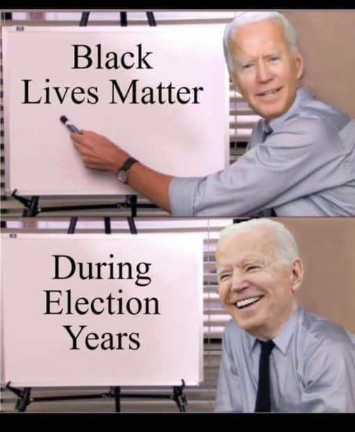 Anti Democrat Memes, BLM Memes, Funniest Memes, Joe Biden 