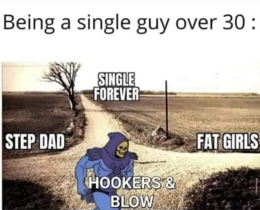 Funniest Memes, Mid Life Crisis Memes, Single Memes, Skeletor Memes  Being a single guy over 30  SINGLE FOREVER FAT GIRLS
