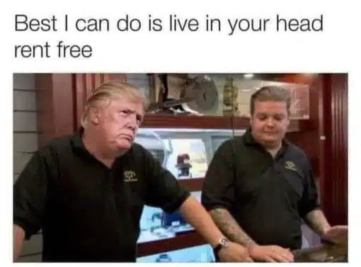 Donald Trump Memes, Funniest Memes 