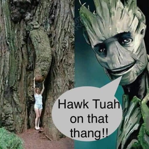 Funniest Memes, Hawk Tuah 