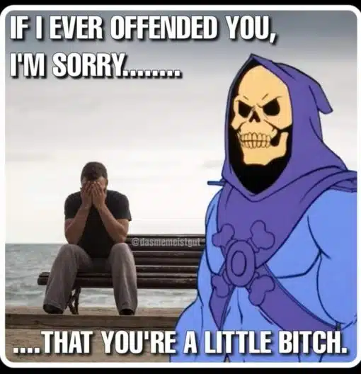 Funniest Memes, Offensive Memes, Skeletor Memes 