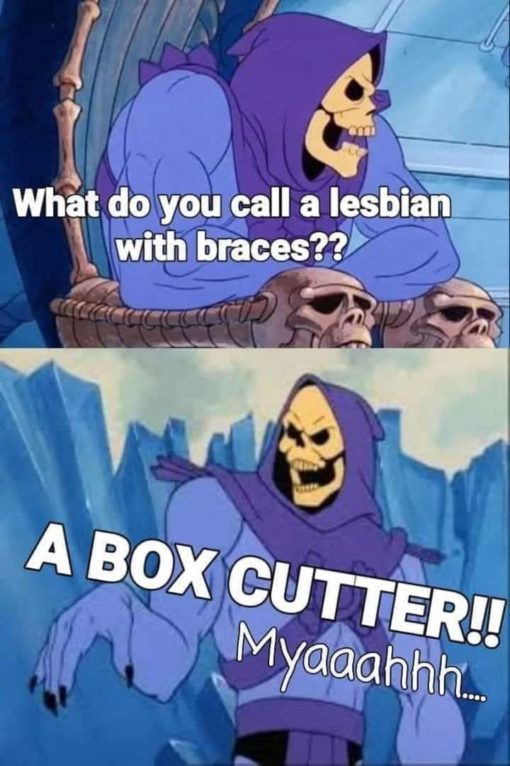 Funniest Memes, Skeletor Memes 