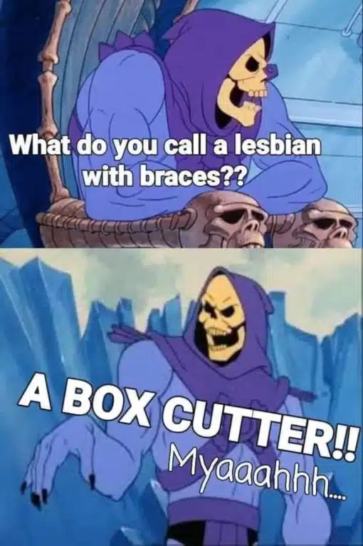 Funniest Memes, Lesbian Memes, Skeletor Memes 