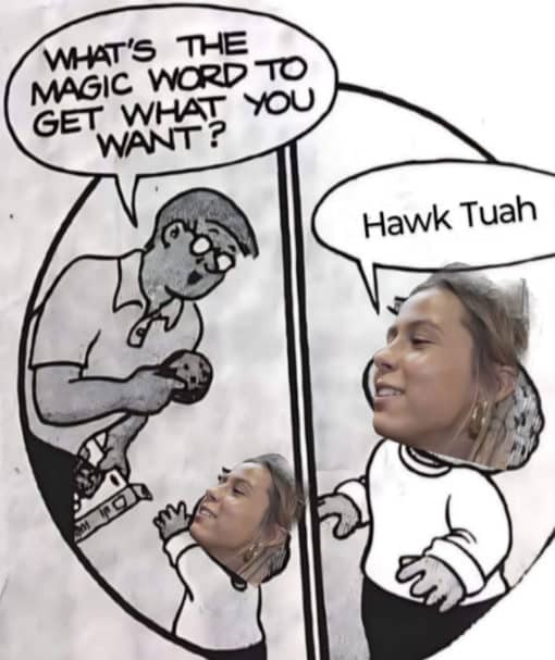 Funniest Memes, Hawk Tuah 