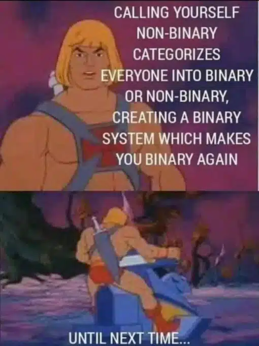 Funniest Memes, He-Man Memes, Pronoun Memes 