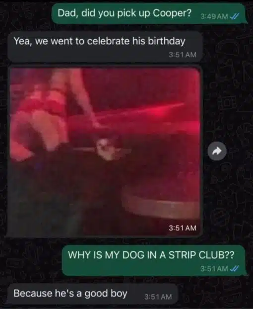 Dog Memes, Funniest Memes, Stripper Memes 