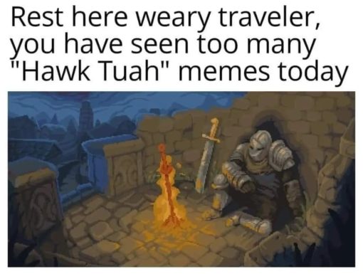 Funniest Memes, Hawk Tuah 