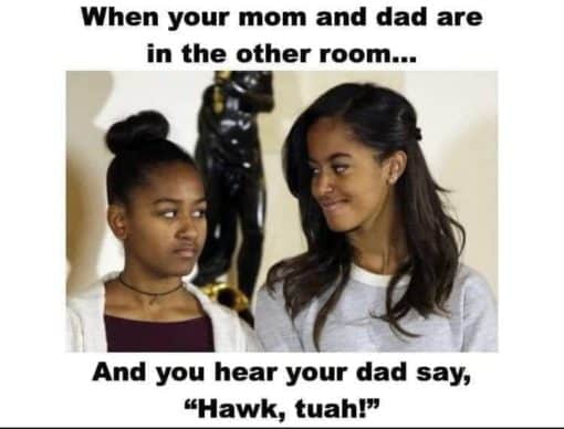 Funniest Memes, Hawk Tuah 