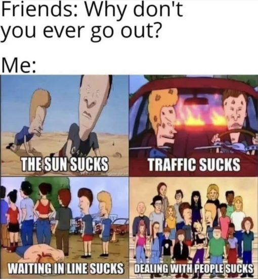 Bevis and Buthead, Funniest Memes, Introvert Memes 