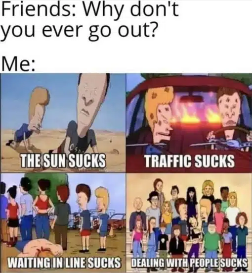 Bevis and Buthead, Funniest Memes 