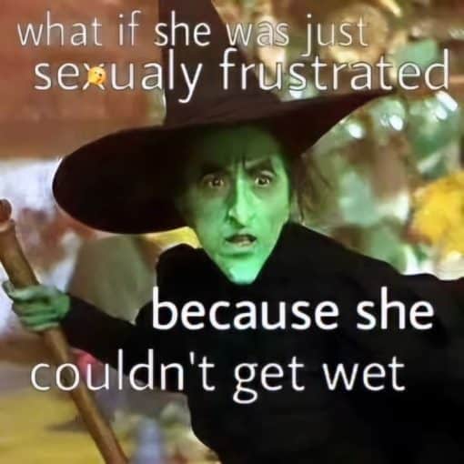 Funniest Memes, Sex Memes, Wizard of Oz Memes 