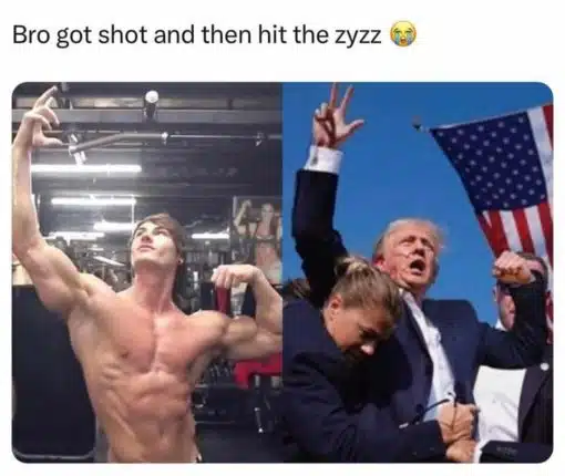 Attempted Assassination On Donald Trump, Funniest Memes 