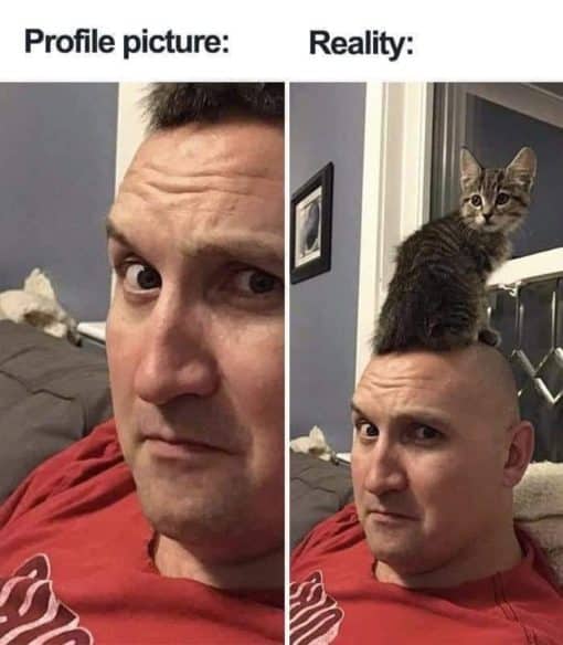 Funniest Memes, Hair Memes, Social Media Memes 