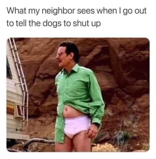 Dog Memes, Funniest Memes 