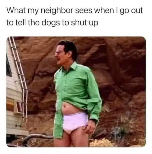 Bad Neighbor Memes, Dog Memes, Funniest Memes 