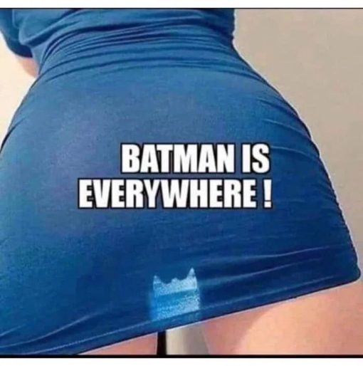 Batman Memes, Funniest Memes, Vagina Memes 