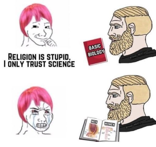 Funniest Memes, Religious Memes, Woke Idiot Memes 