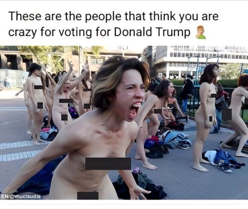 Donald Trump Memes, Funniest Memes, TDS Memes 