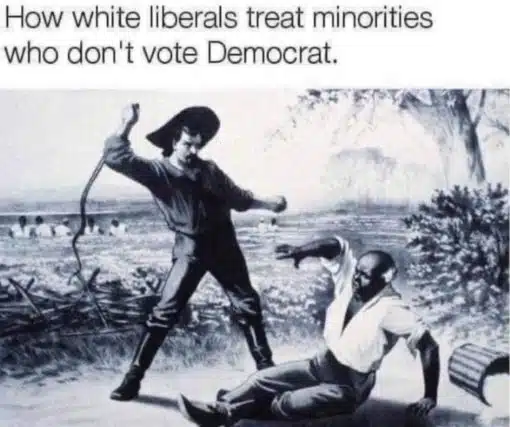 Anti Democrat Memes, Funniest Memes, Political Memes 