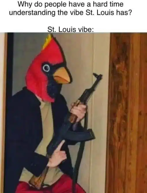 Funniest Memes, St. Louis Memes 