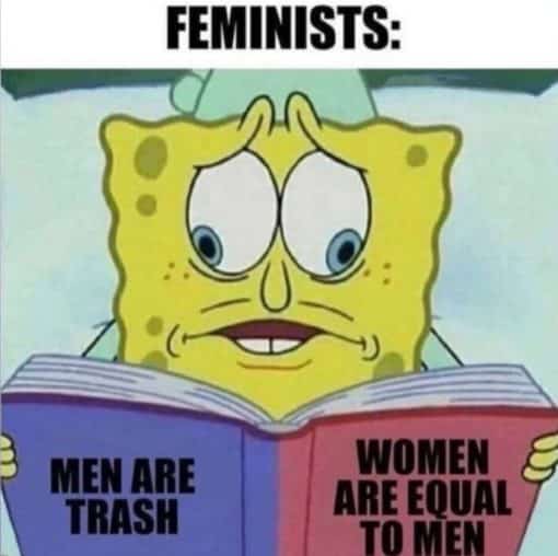 Feminist Memes, Funniest Memes, Woke Idiot Memes 