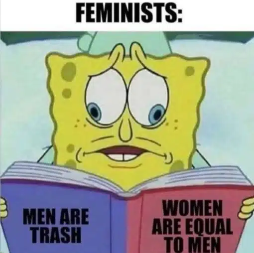 Feminist Memes, Funniest Memes, Woke Idiot Memes 