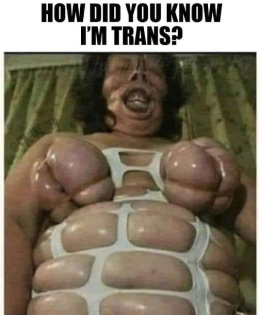 Funniest Memes, Trans Memes 