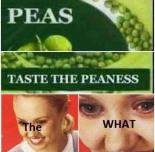 Funniest Memes, Penis Memes 