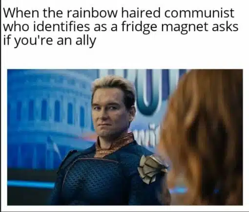 Funniest Memes, The Boys Memes Are you an ally