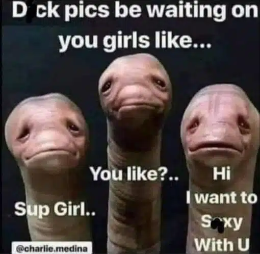 Dick Pic Memes, Funniest Memes, Penis Memes 