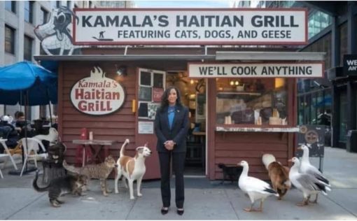 Funniest Memes, Haitian Migrant Memes Kamala Haitian Grill