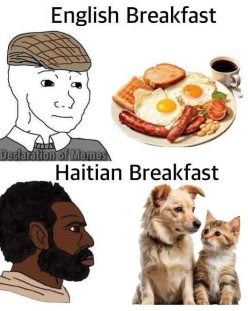 Funniest Memes, Haitian Migrant Memes 