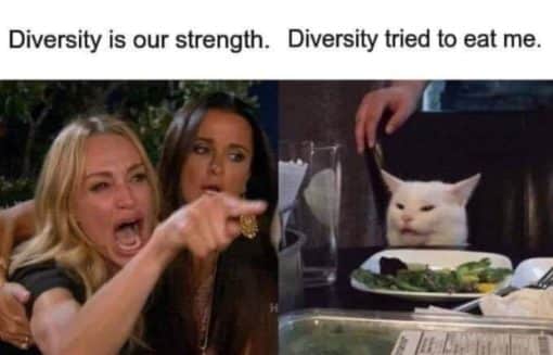 Funniest Memes, Haitian Migrant Memes Diversity Tried to eat me