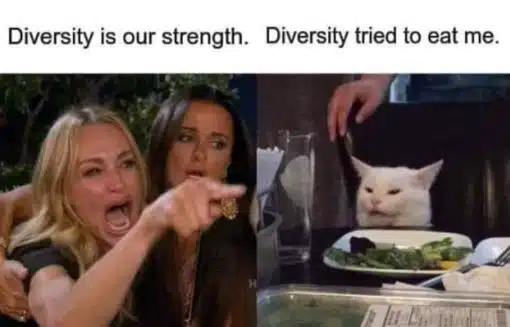 Funniest Memes, Haitian Migrant Memes Diversity Tried to eat me