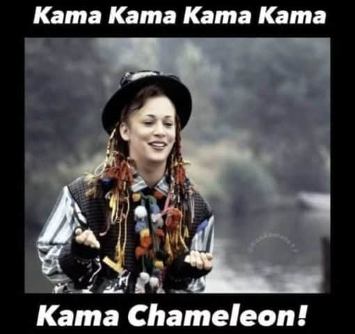 Funniest Memes, Kamala Harris Memes 