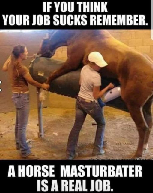 Bad Jobs Memes, Funniest Memes 