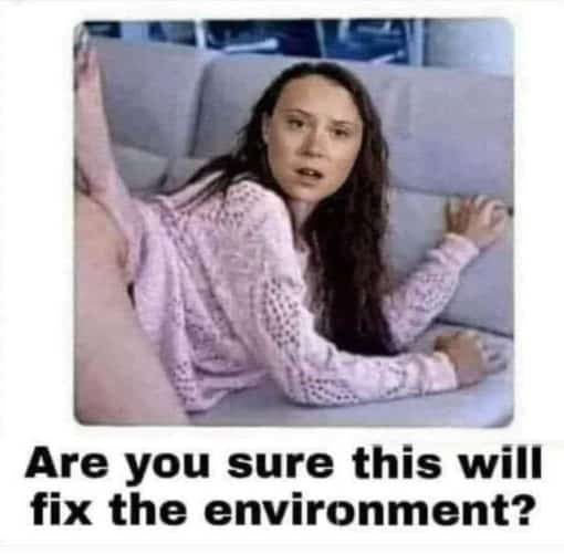 Funniest Memes, Greta Thunberg 