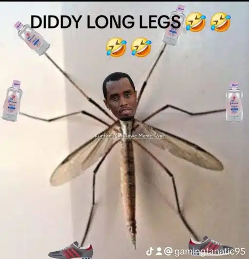 Funniest Memes, P Diddy Memes 