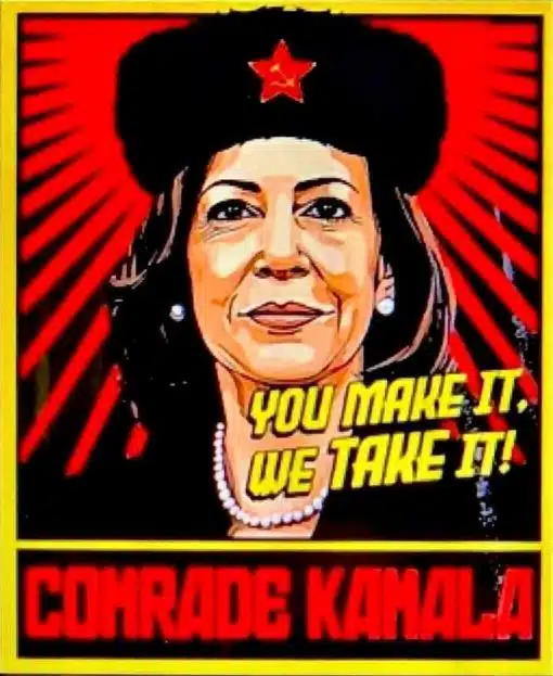 Funniest Memes, Kamala Harris Memes You make it we'll take it