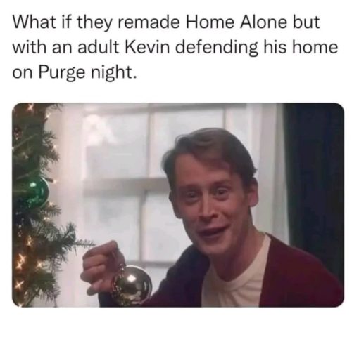 Funniest Memes, Home Alone Memes 