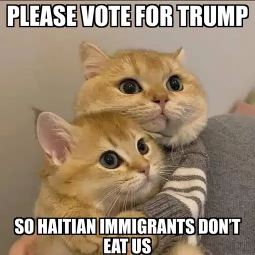 Funniest Memes, Haitian Migrant Memes 