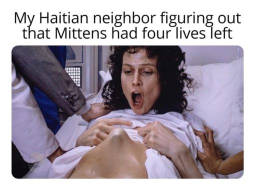 Funniest Memes, Haitian Migrant Memes 