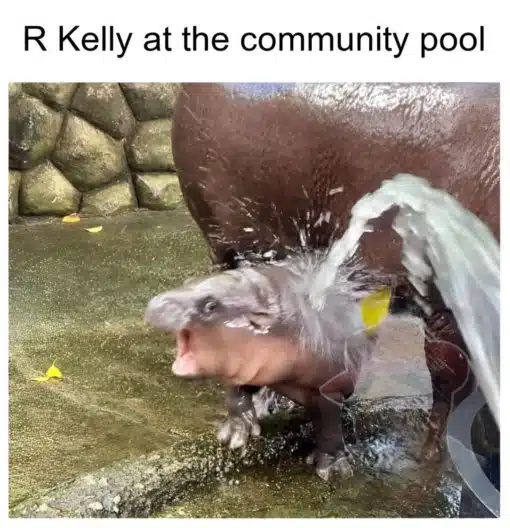 Funniest Memes, R. Kelly Memes R Kelly at the community pool