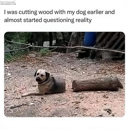 Dog Memes, Funniest Memes 