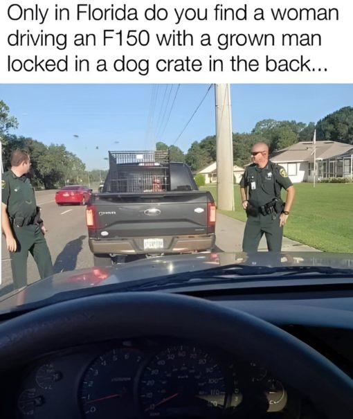 Florida Memes, Funniest Memes 