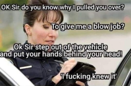 Cop Memes, Funniest Memes, Oral Sex Memes Pull over blow job